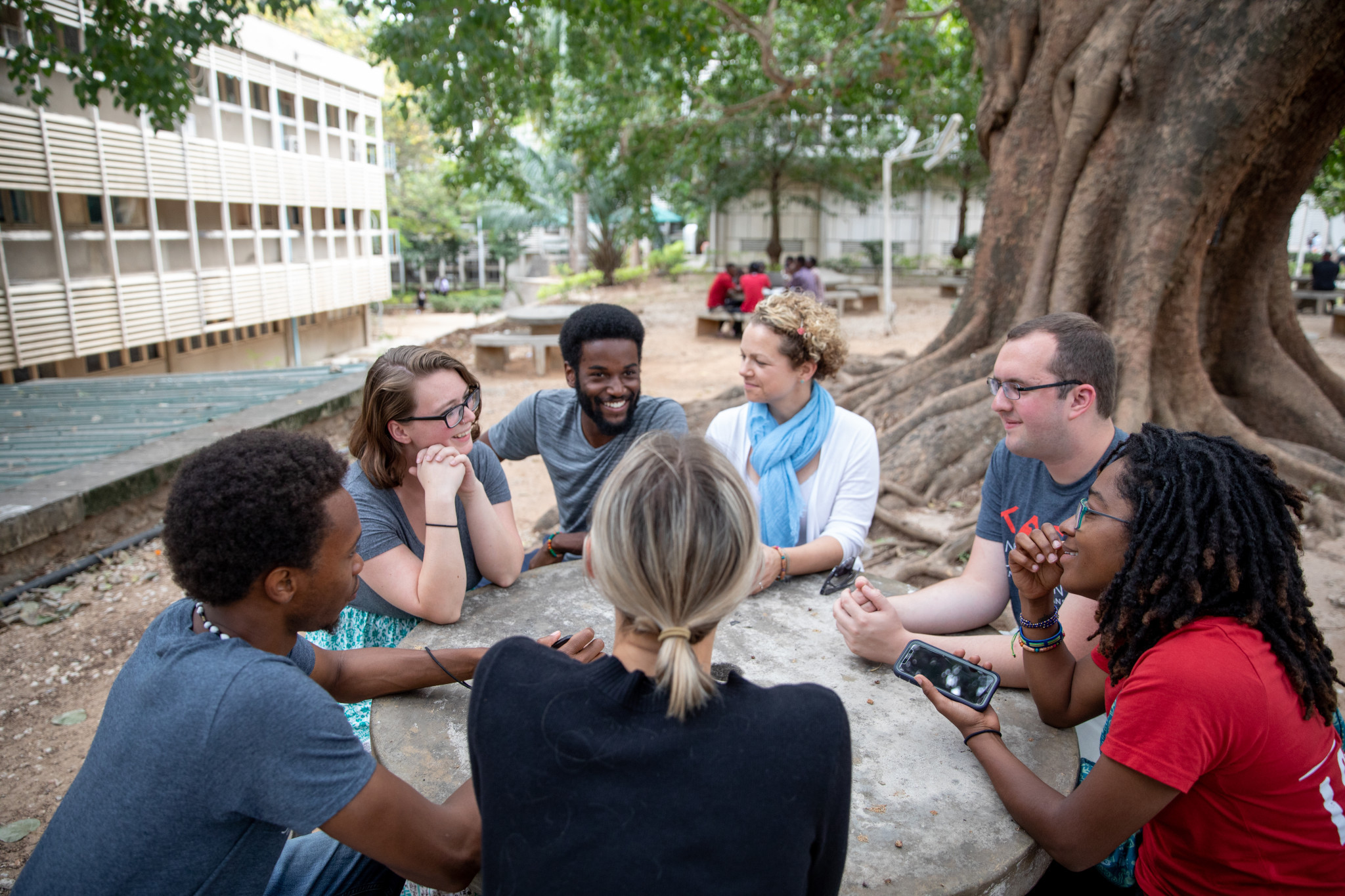 People sitting around a table next to a big tree