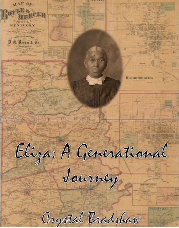 Book Cover for Eliza: A Generational Journey