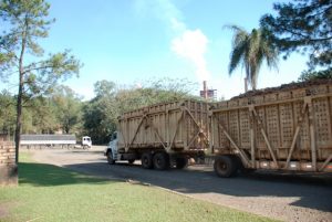 Sugar cane processing