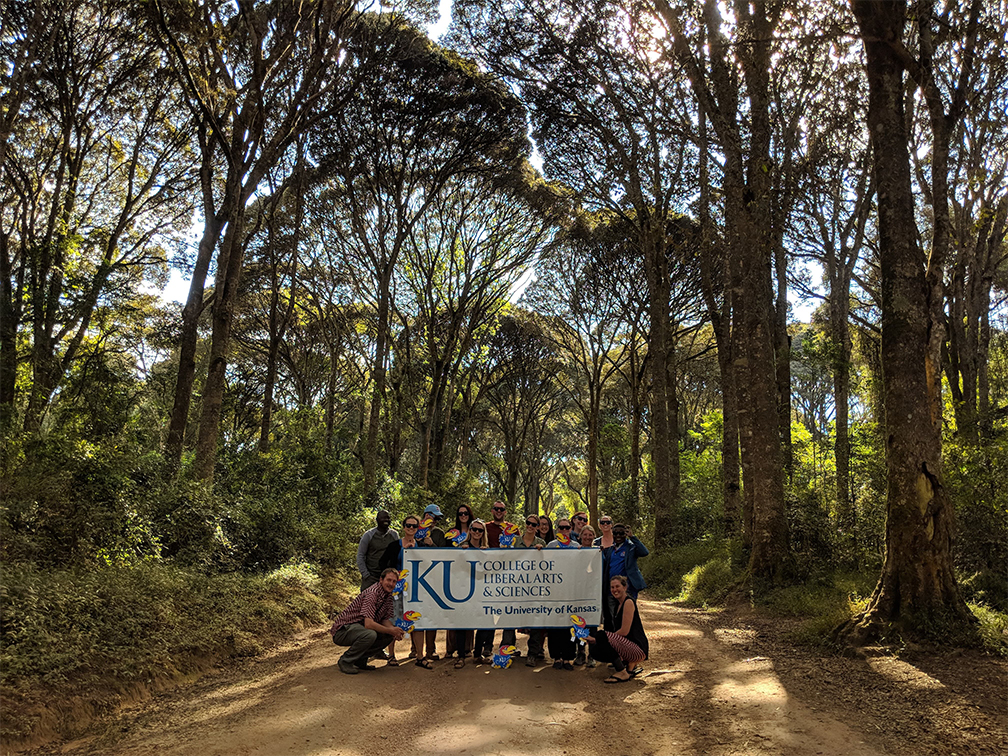 The KU colLab team in Mufindi