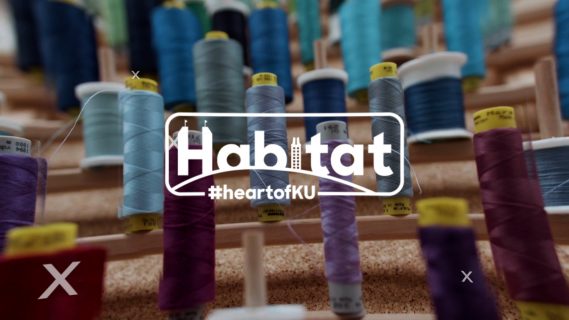 Habitat logo with a background filled with a collection of threads