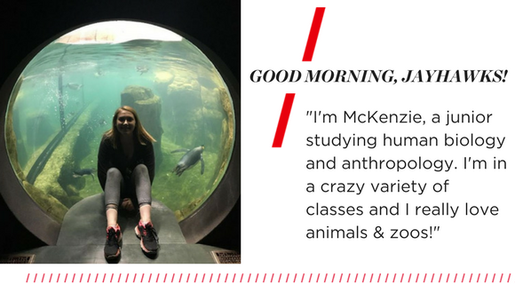 Good morning, Jayhawks. "I'm McKenzie, a junior studying human biology and anthropology. I'm in a crazy variety of classes and I really love animals & zoos!"