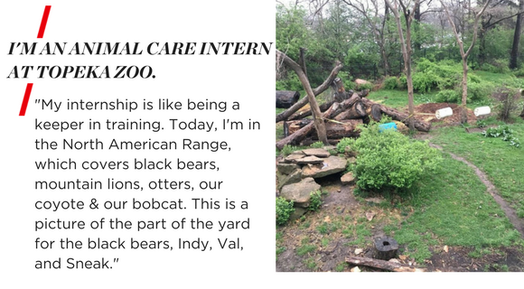 I'M AN ANIMAL CARE INTERN AT TOPEKA ZOO. "My internship is like being a keeper in training. Today, I'm in the North American Range, which covers black bears, mountain lions, otters, our coyote & our bobcat. This is a picture of the part of the yard for the black bears, Indy, Val, and Sneak."