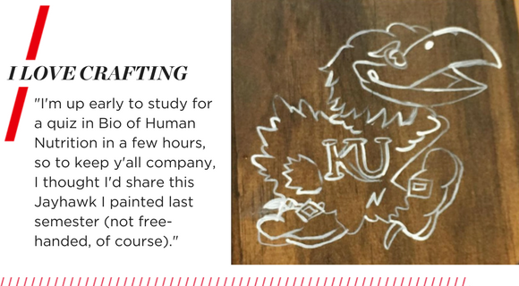 I love crafting. "I'm up early to study for a quiz in Bio of Human Nutrition in a few hours, so to keep y'all company, I thought I'd share this Jayhawk I painted last semester (not free-handed, of course)."