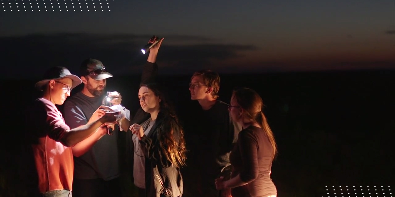 A group of people looking at something at night