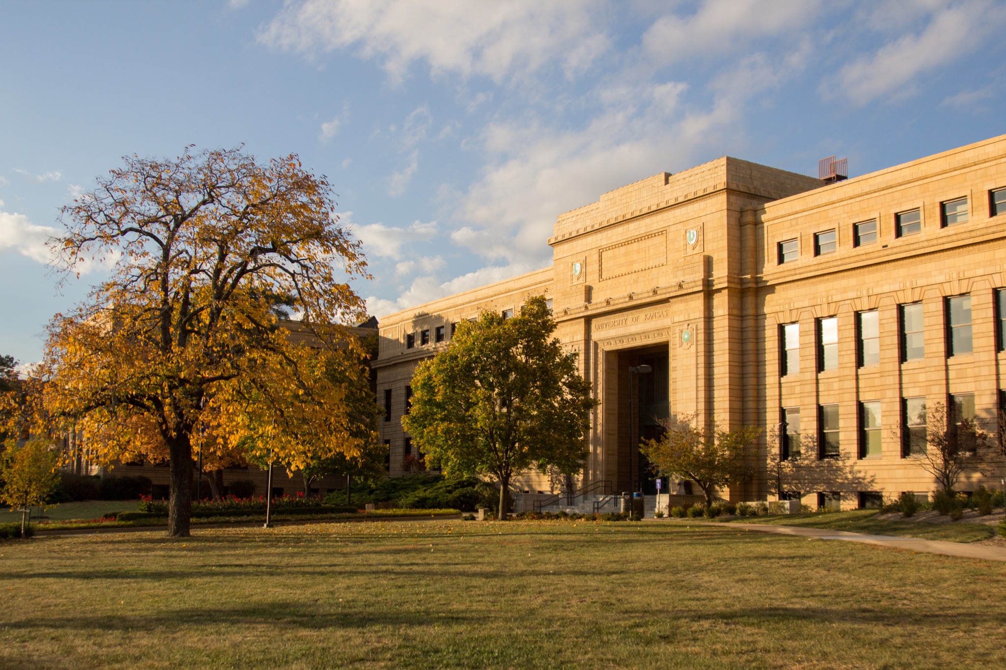 Strong Hall with a tree as the leaves change