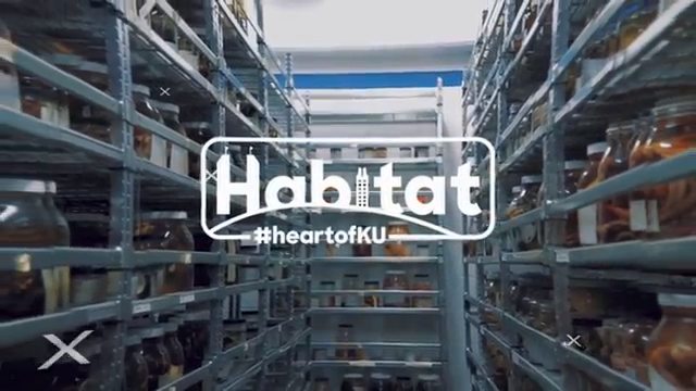 An aisle of shelves with jars of herpetology collection contents overlaid with Habitat logo