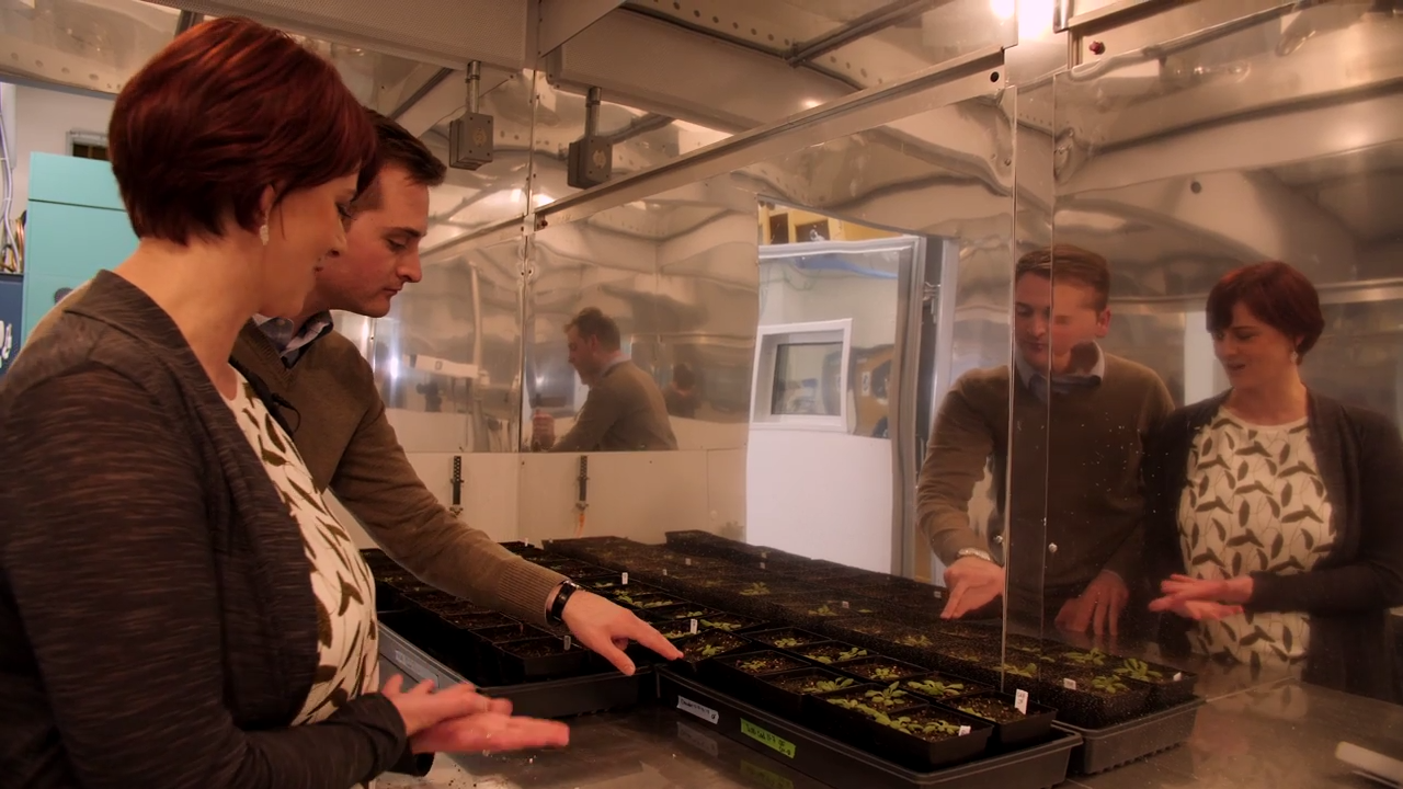 Joy Ward with Taylor Leibbrandt, a KU graduate in French Literature and Language (2012) who worked in the Ward Lab on Influence of Global Change on Plants