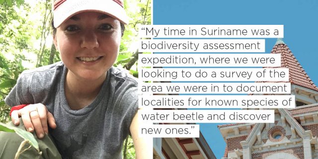 My time in Suriname was a biodiversity assessment expedition, where we were looking to do a survey of the area we were in to document localities for known species of water beetle and discover new ones. 