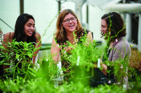 three people talking amongst plants in a greenhouse