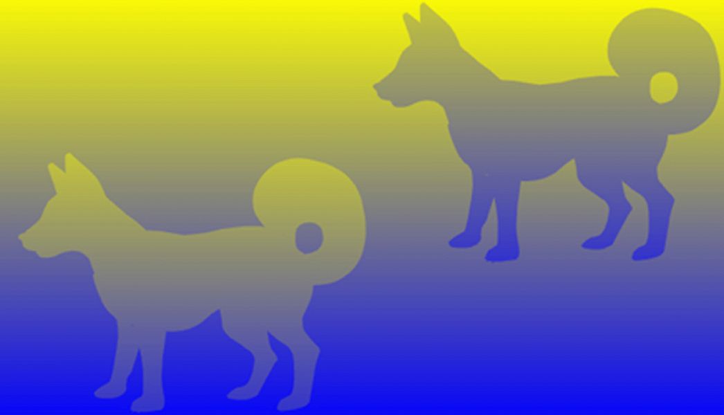 yellow-blue-dogs-big