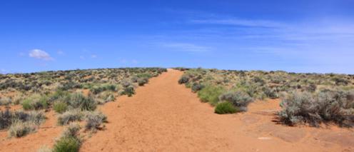 Arizona desert