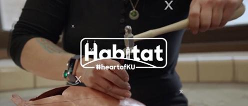 Habitat logo over artist using hammer to create piece