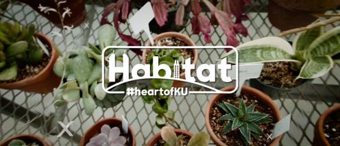 Top view of succulents with Habitat logo #heartofKU