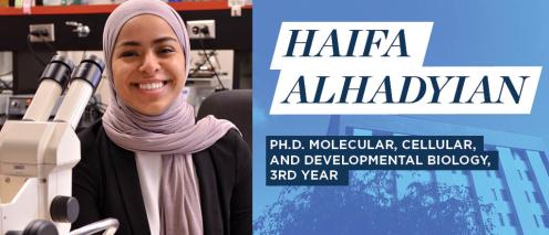 Haifa Alhadyian. Ph.D Molecular, Cellular, and Developmental Biology, 3rd year