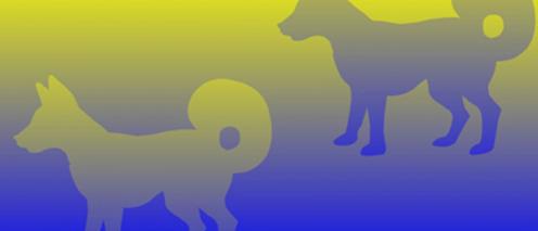 Two dog silhouettes on an image of yellow and blue.