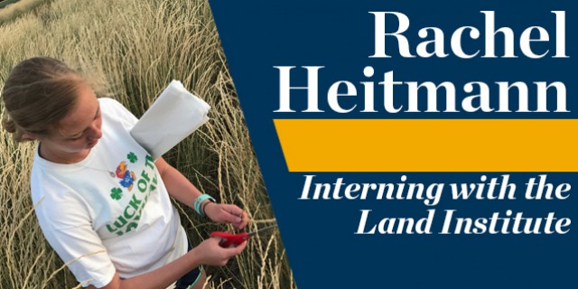 Rachel Heitmann, Interning with the Land Institute
