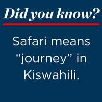 Did you know? Safari means “journey” in Kiswahili.