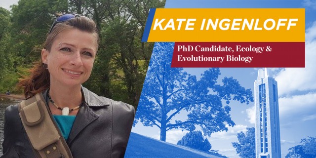 Kate Ingenloff. PhD Candidate, Ecology & Evolutionary Biology