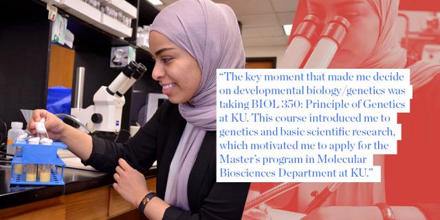 “The key moment that made me decide on developmental biology/genetics was taking BIOL 350: Principle of Genetics at KU. This course introduced me to genetics and basic scientific research, which motivated me to apply for the Master’s program in Molecular Biosciences Department at KU.”