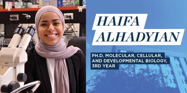 Haifa Alhadyian: Ph.D. Molecular, Cellular, and Developmental Biology, 3rd Year