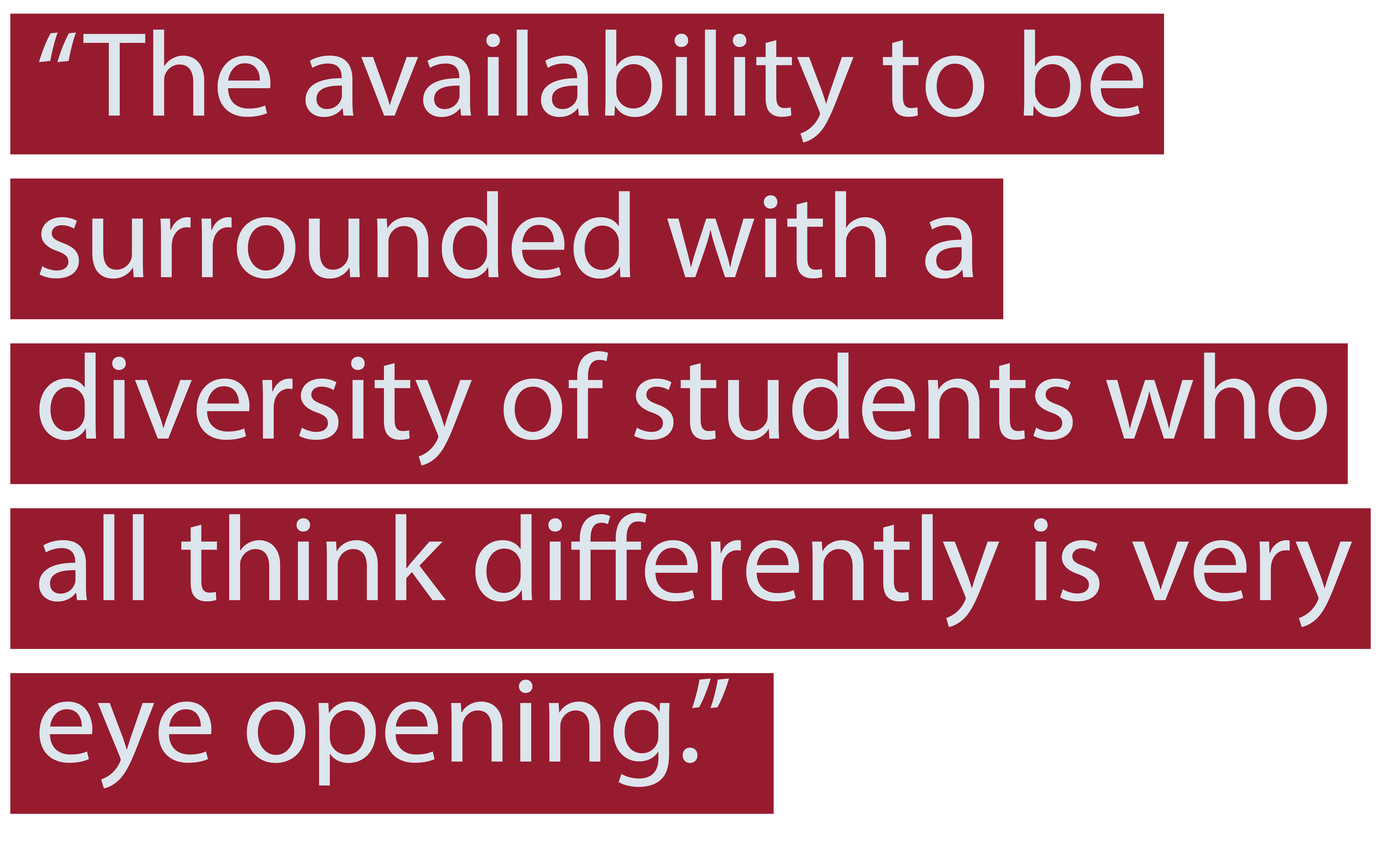 "The availability to be surrounded with a diversity of students who all think differently is very eye opening."