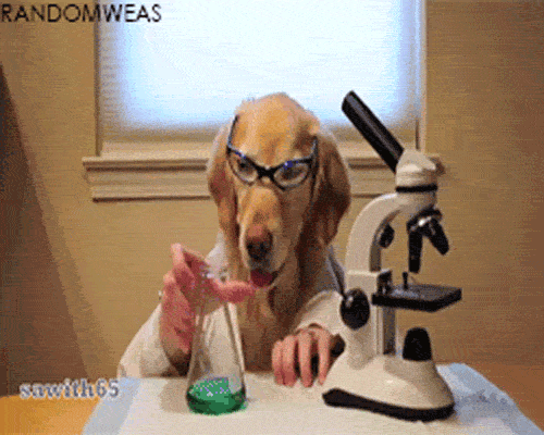 Dog dressed as a scientist looking at liquid in a beaker. 